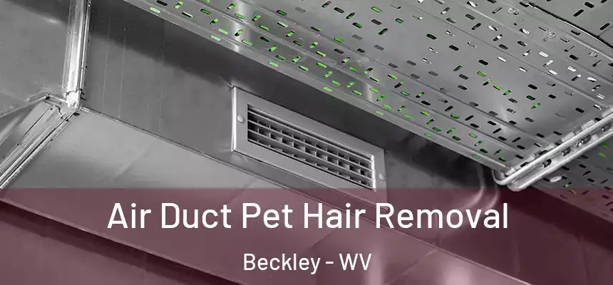  Air Duct Pet Hair Removal Beckley - WV
