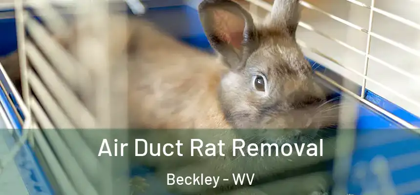  Air Duct Rat Removal Beckley - WV