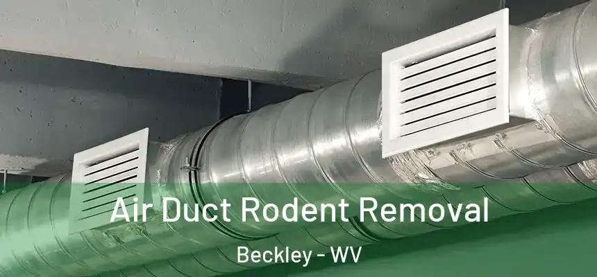  Air Duct Rodent Removal Beckley - WV