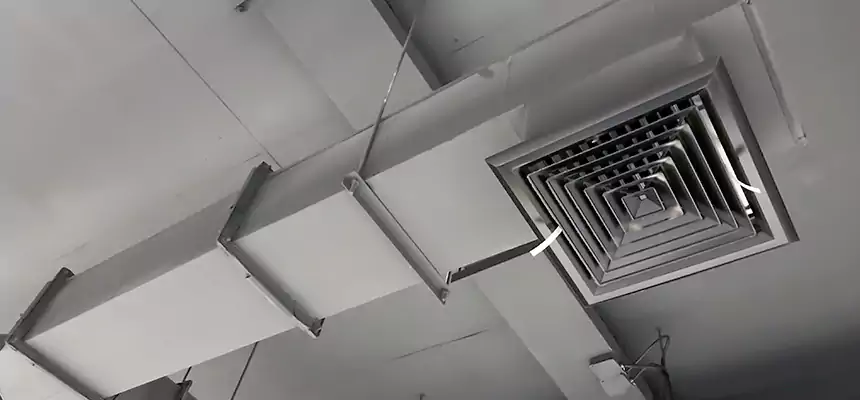 Our Rodent Droppings In Vents Services in Beckley, WV