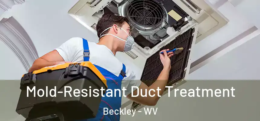  Mold-Resistant Duct Treatment Beckley - WV