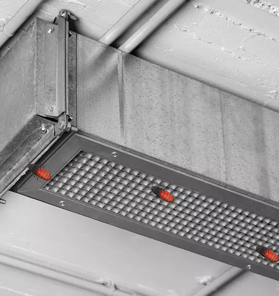 About Air Duct Cockroach Removal in Beckley, WV
