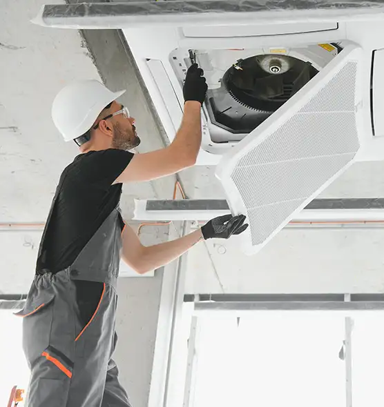 About Air Duct Rodent Removal in Beckley, WV